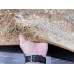 Бельгийский ковер Белучи 88438-8282 Бежевый